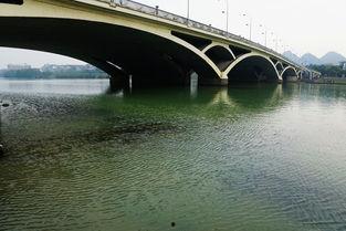 桂林解放桥今日新闻爆料,桥梁维修工程进展及交通管制情况揭晓  第2张